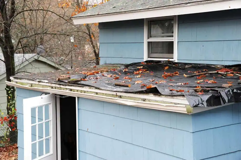 A blue house with a damaged roof covered in black tarp and scattered autumn leaves. The exterior includes a white-framed window and an open white door leading inside. Trees with bare branches surround the house, hinting at the need for a Roofing Contractor in Sarasota County—another building is partially visible in the background.
