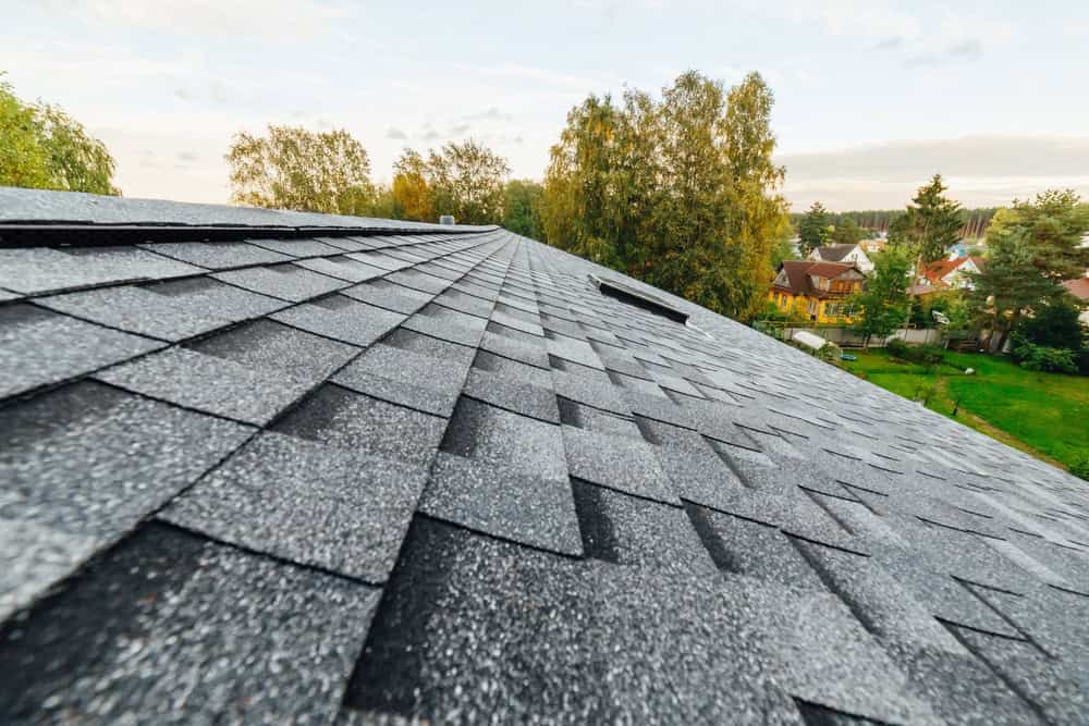 Close-up view of a gray shingled roof sloping downwards, surrounded by green trees and a partially visible residential area in the background. The sky is lightly clouded.